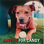 Justice for Candy
